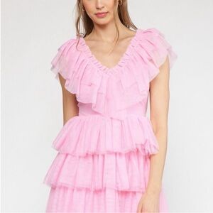 NEW with tags Entro pink ruffled tulle mini Dress